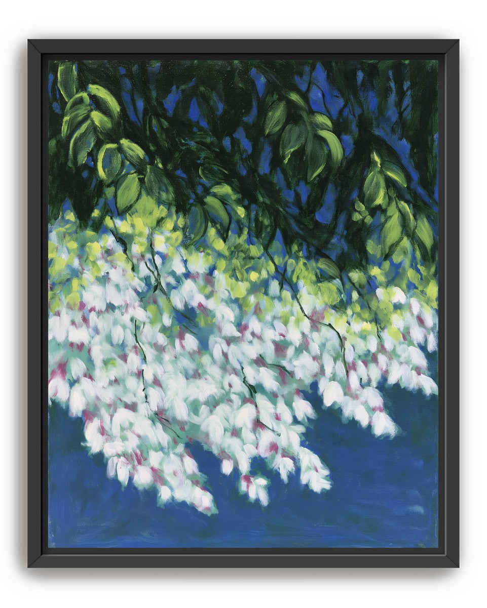 White blossoms in blue shade