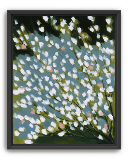 Pink breaks the white field