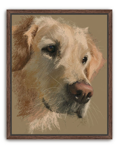 Warm fur in brown quietness