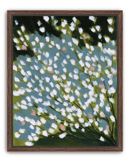 Pink breaks the white field