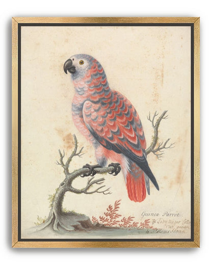 Parrot among bare branches