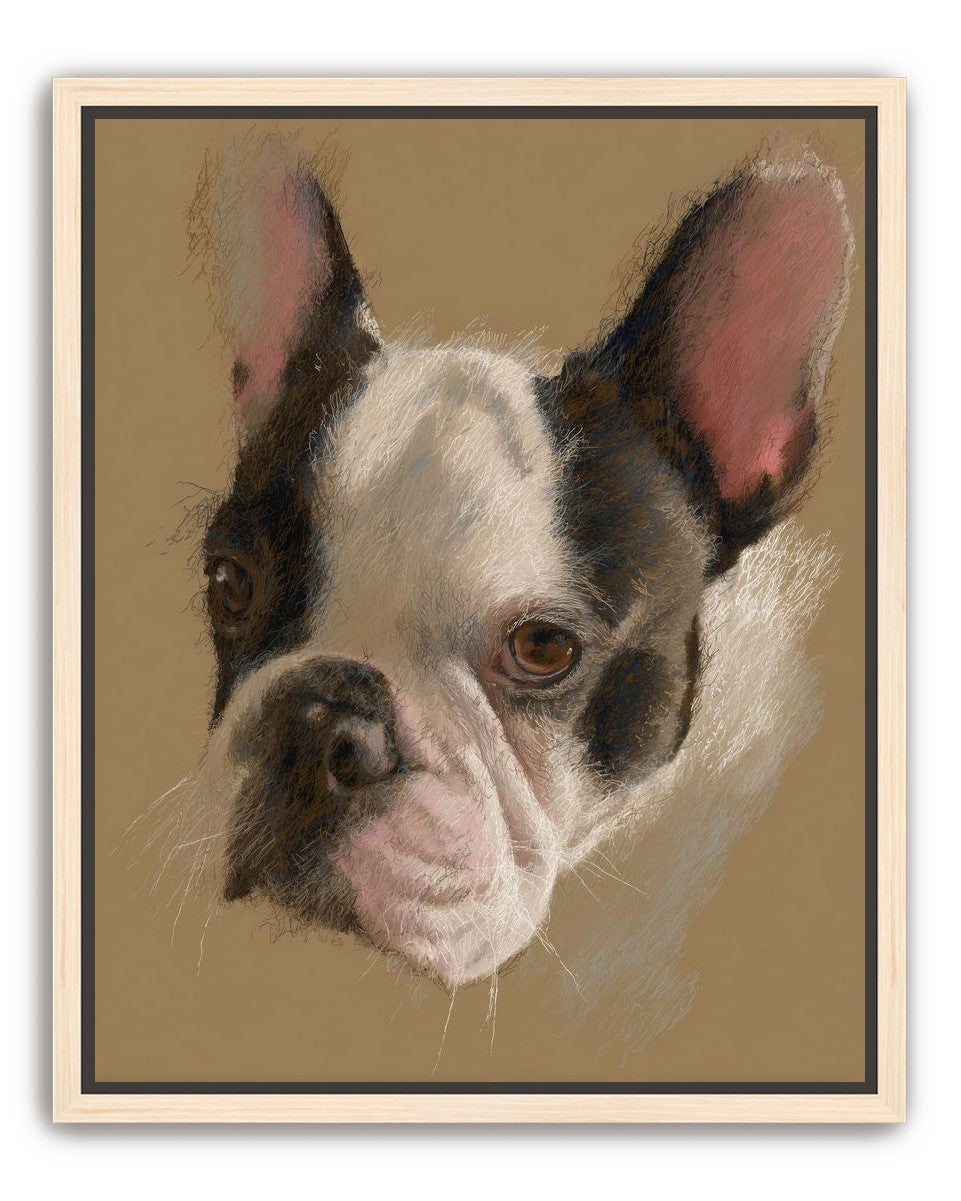 Close portrait with upright ears