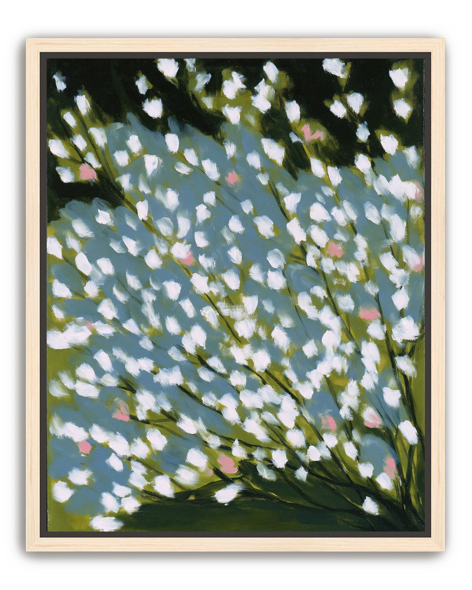 Pink breaks the white field