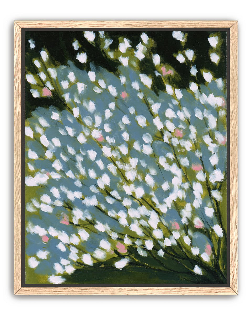 Pink breaks the white field