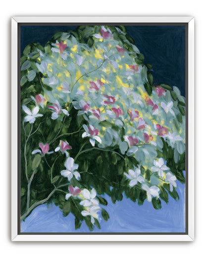 Blossoms across the night sky