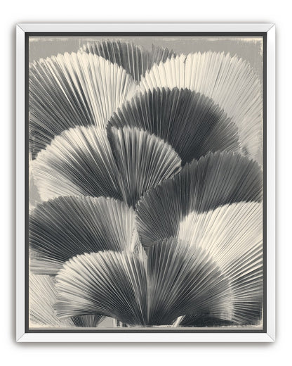 Ginkgo leaves in shadow
