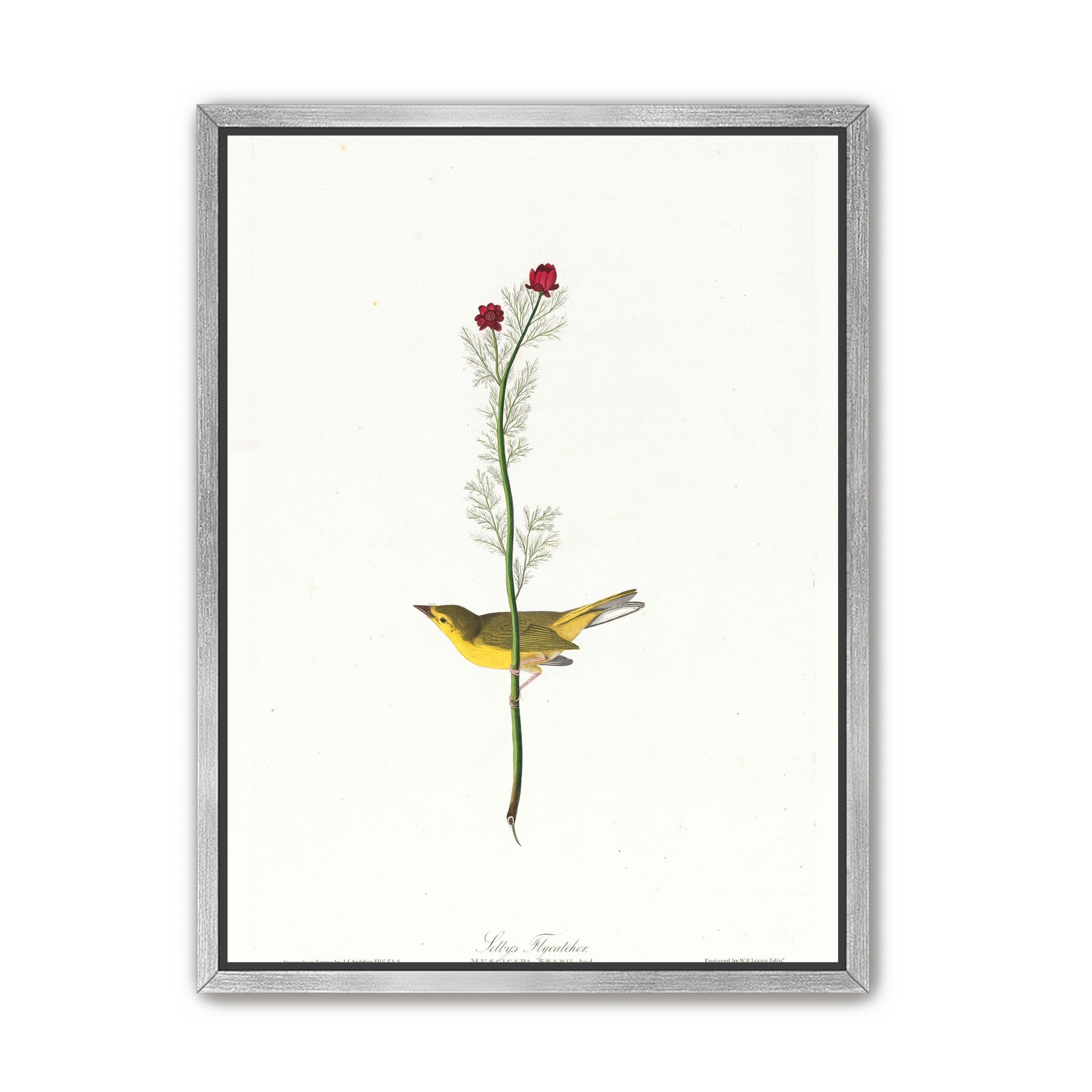 A yellow bird beneath red blooms