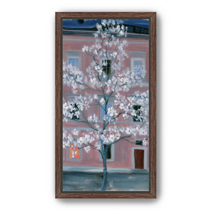 White blossoms against the pink house