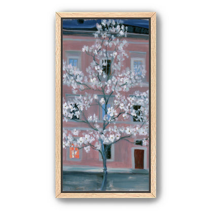 White blossoms against the pink house