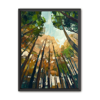 Canopy Lightfall