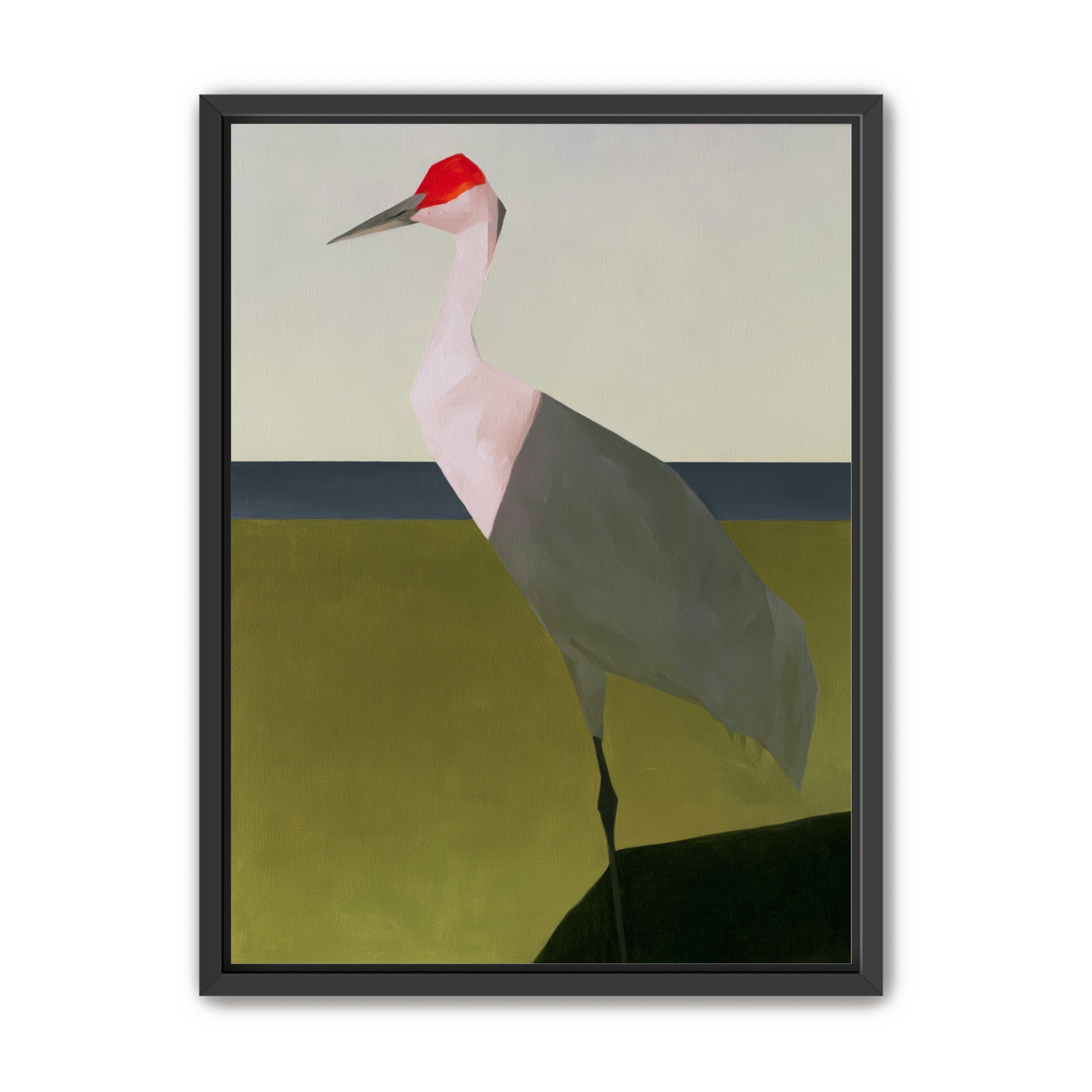 Red crown crane at the shore