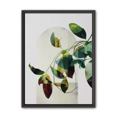 Leaves in a pale halo