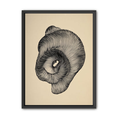 A hollow within black lines