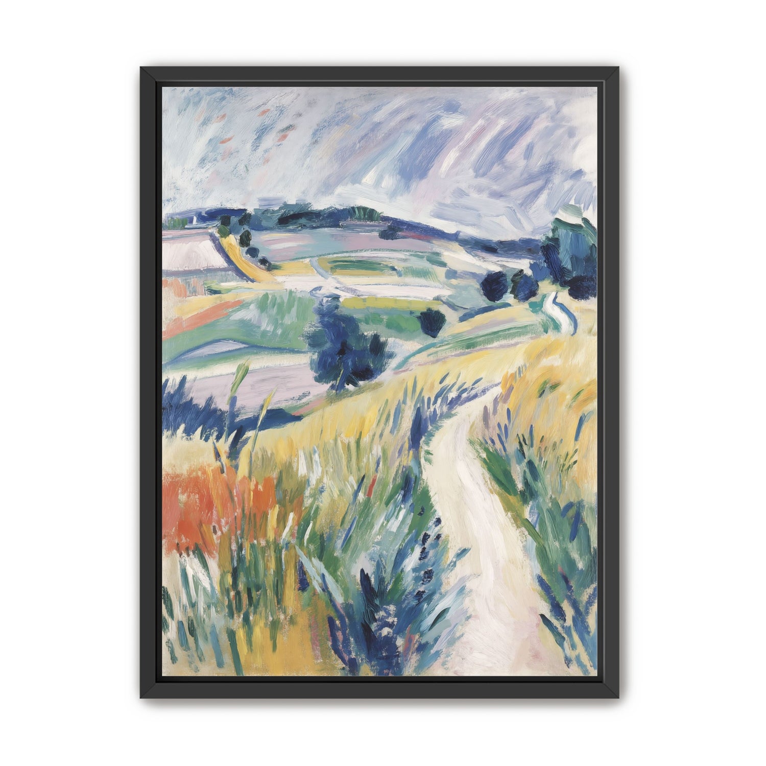 Path Through the Meadow