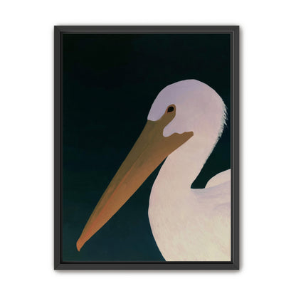 White pelican in stillness