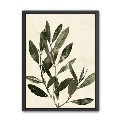 Dark leaves on pale field