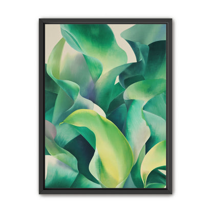 Calla lilies crowd the light