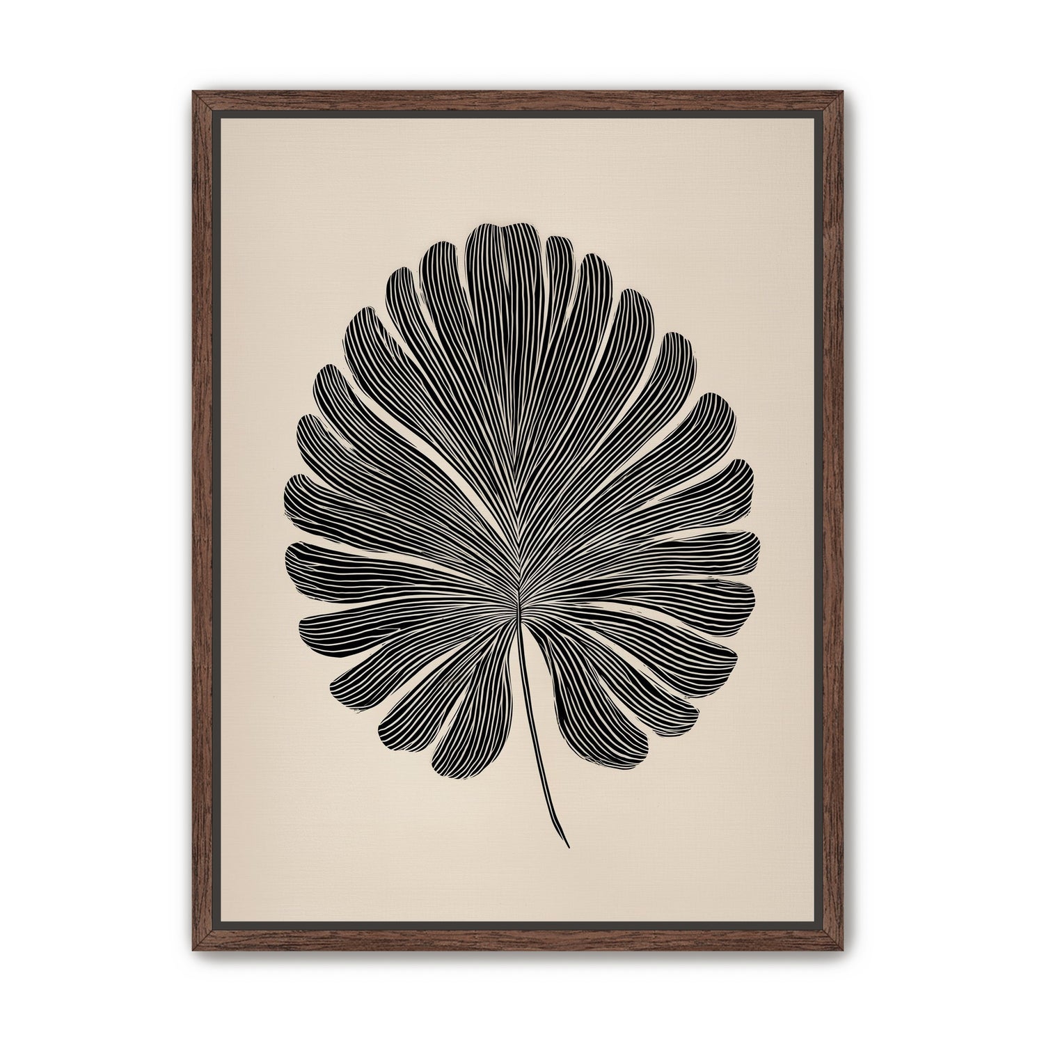 Striped fan leaf alone