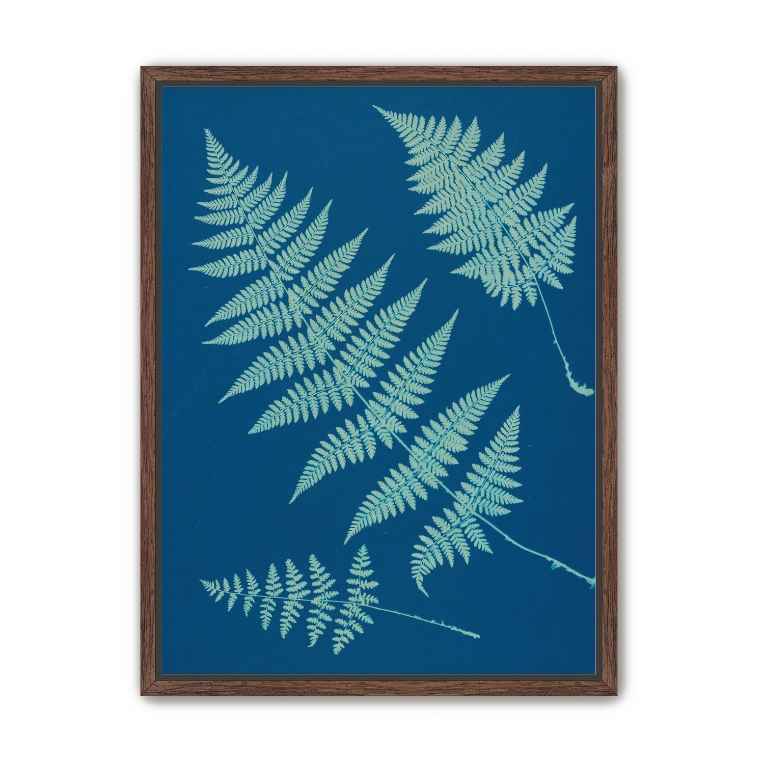Pale ferns in deep blue