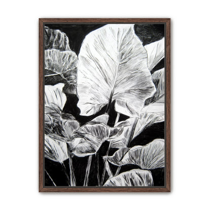 A Cluster of Leaves