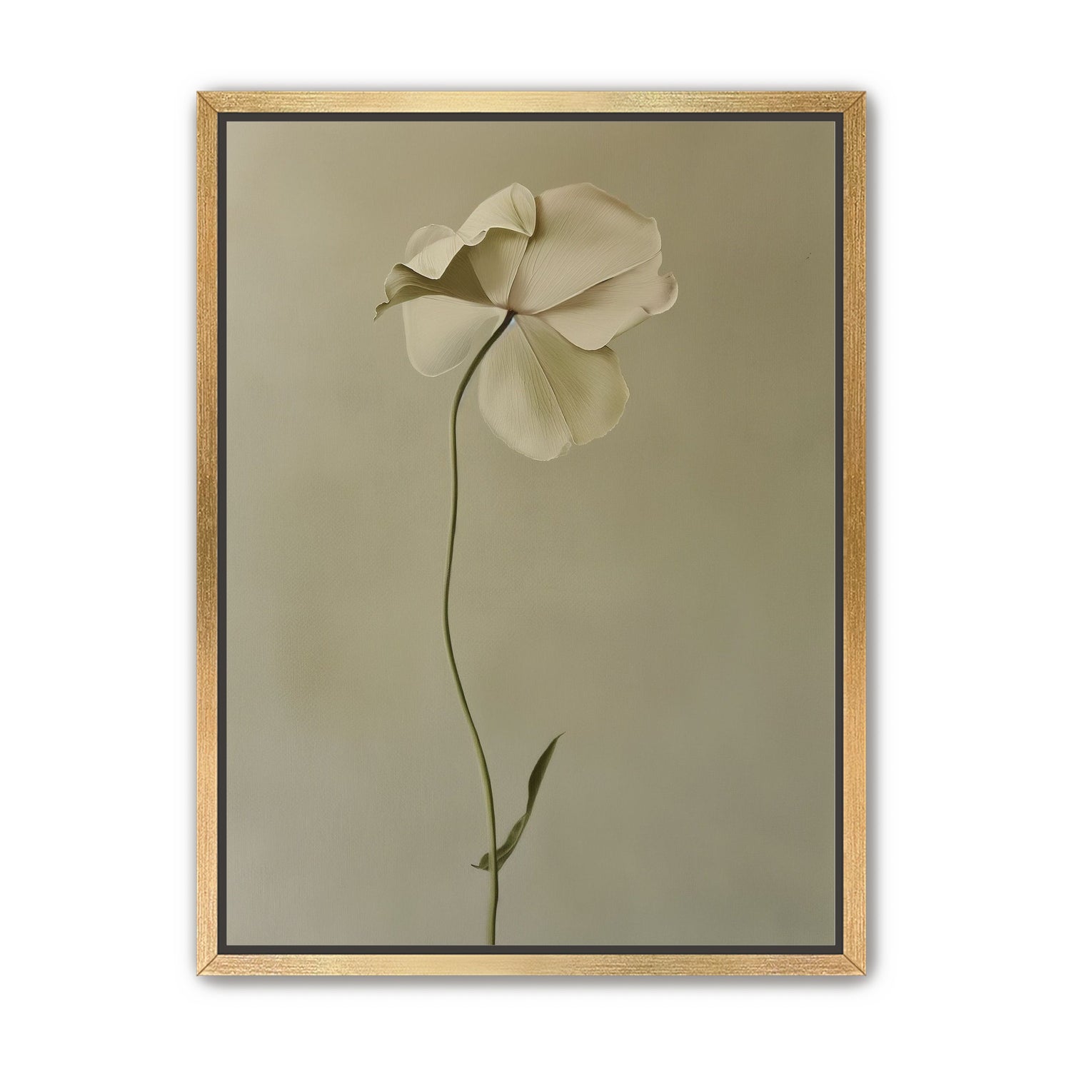 One flower leaning into quiet