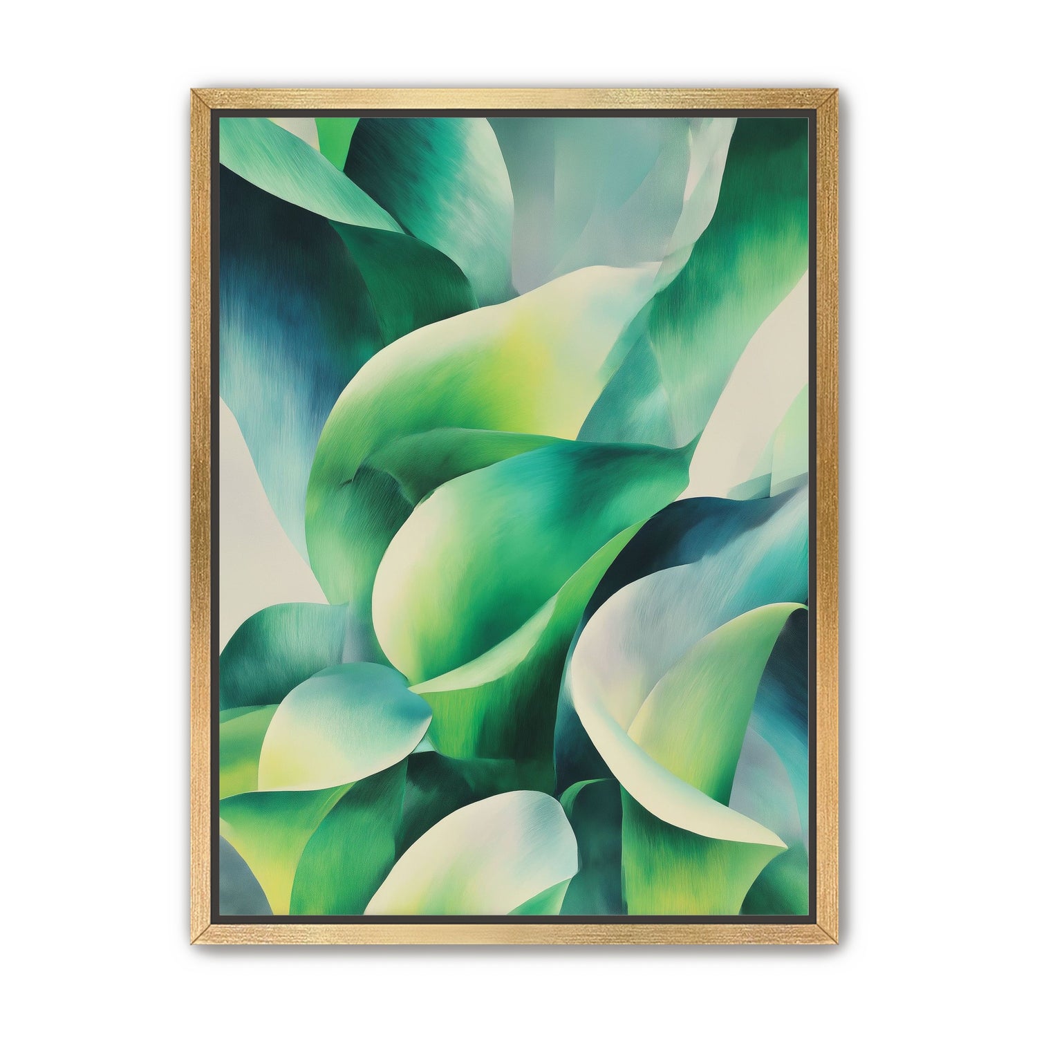 Calla lilies among green shadows