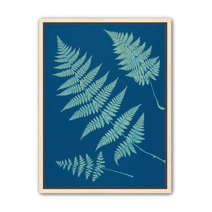 Pale ferns in deep blue