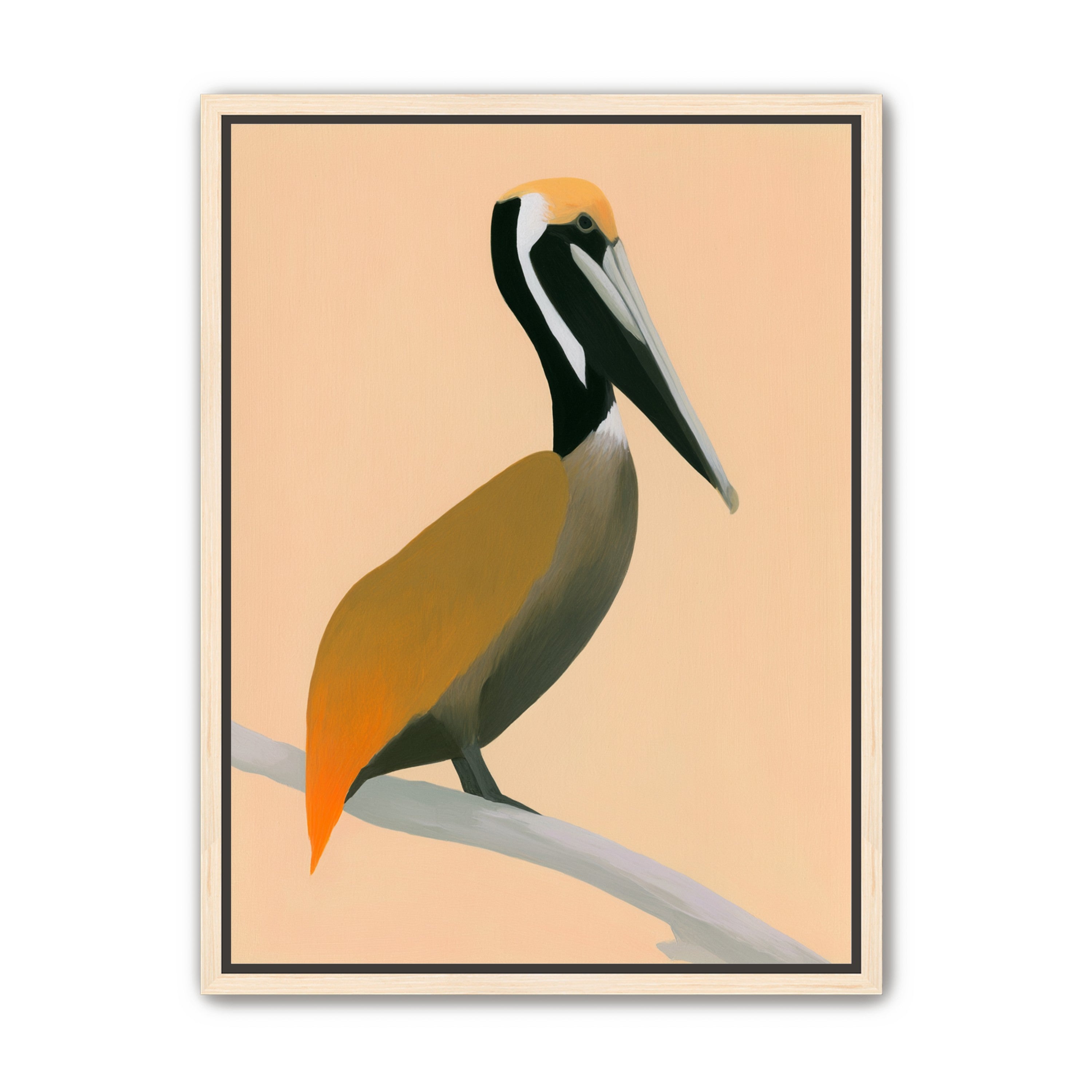 Pelican in peach light