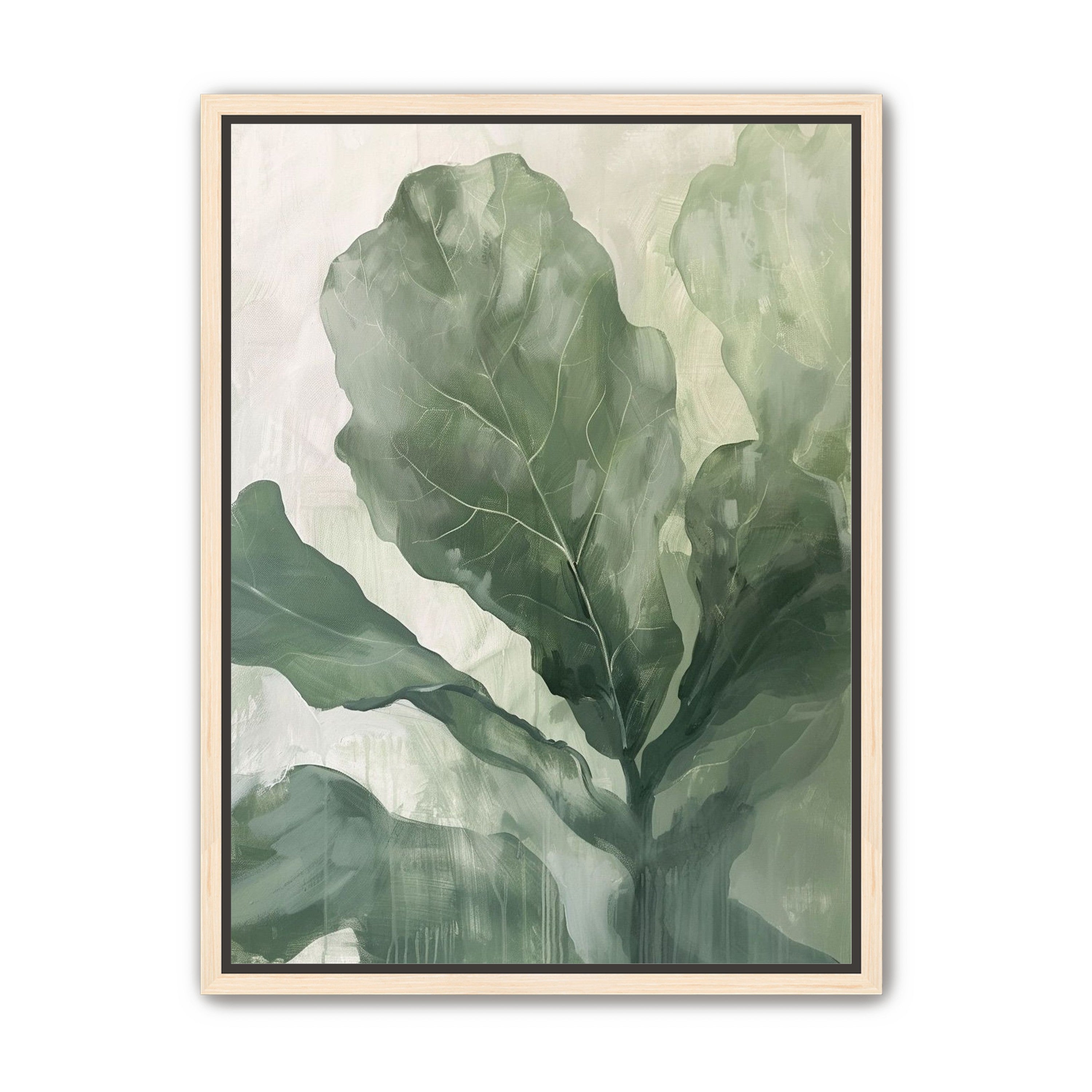 Sage leaves in pale light