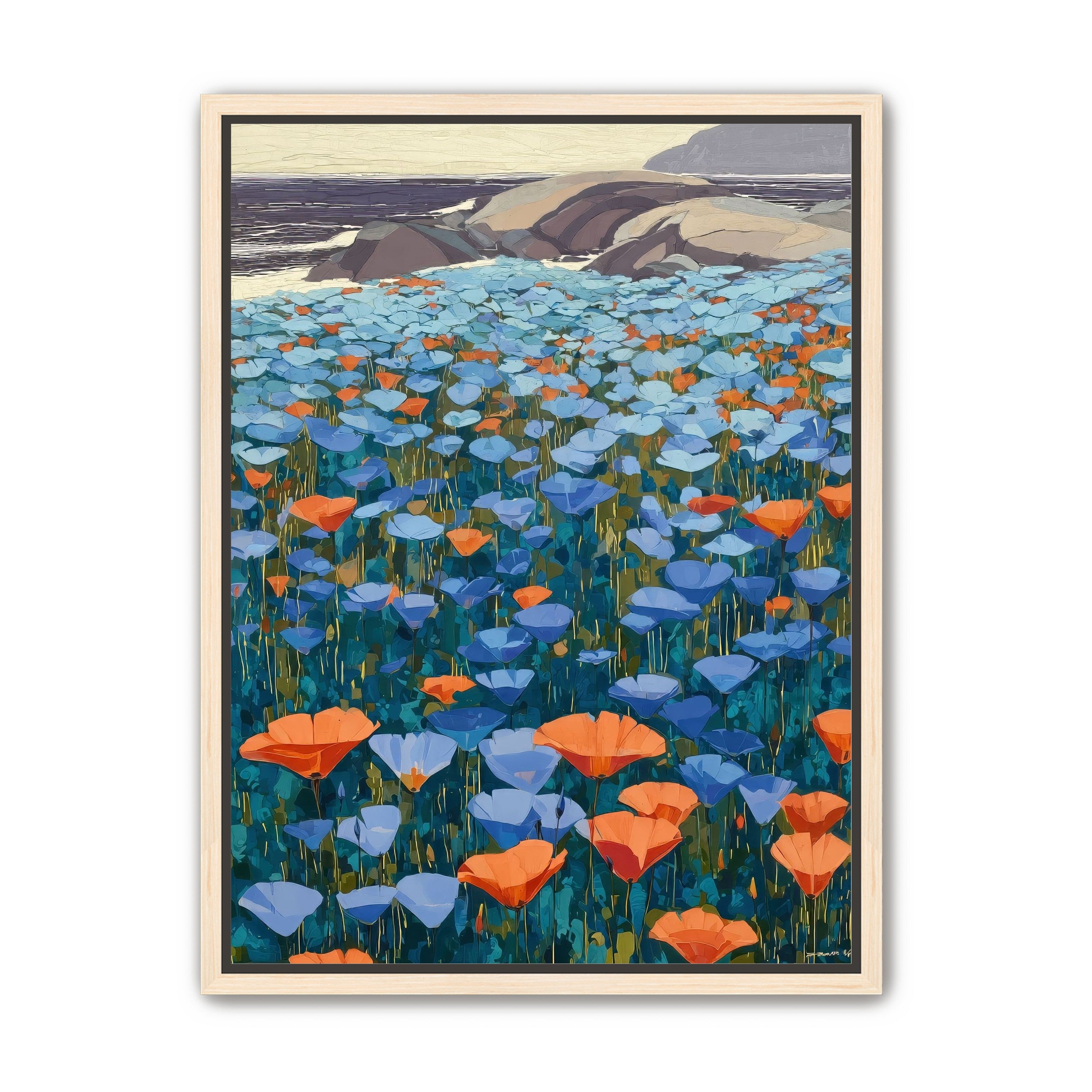 California Poppies