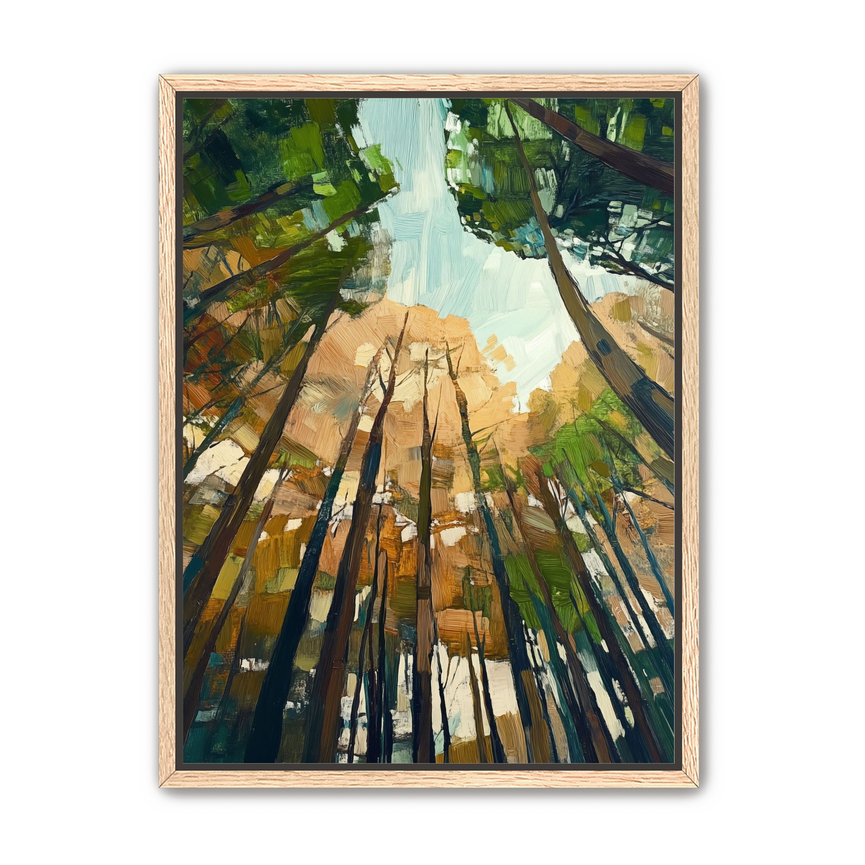 Canopy Lightfall