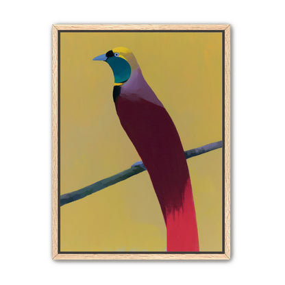 A bright bird on yellow