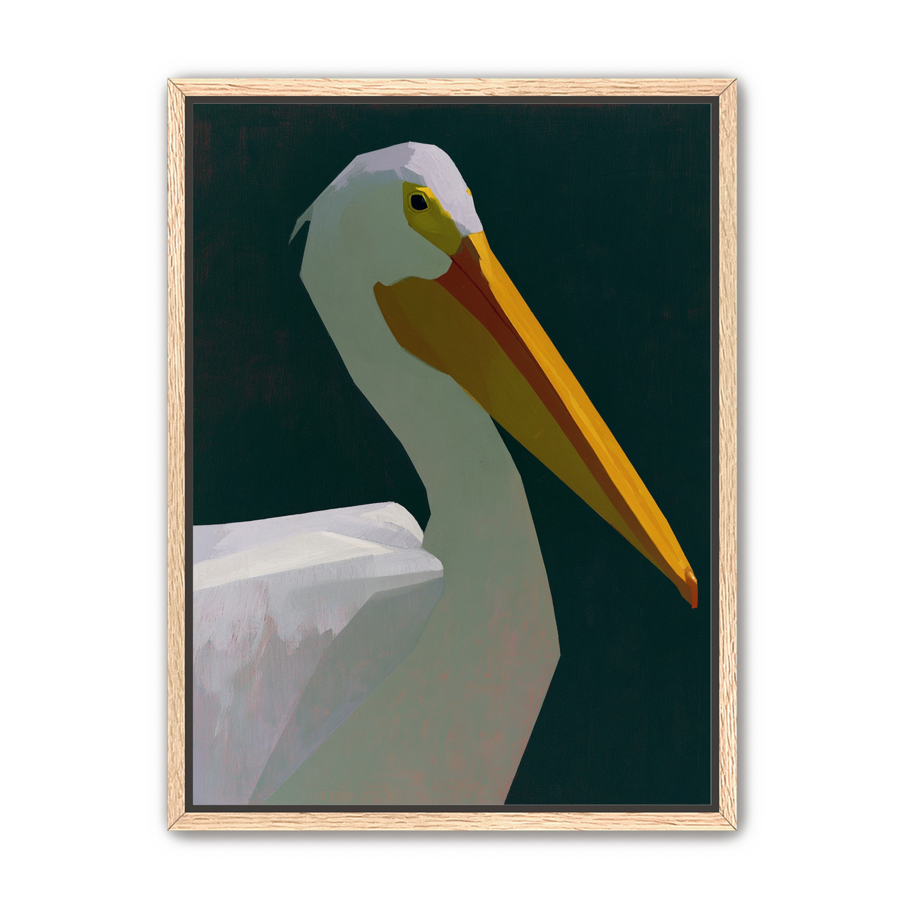 White pelican in deep green