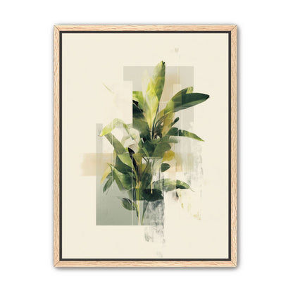 Plant in layered light