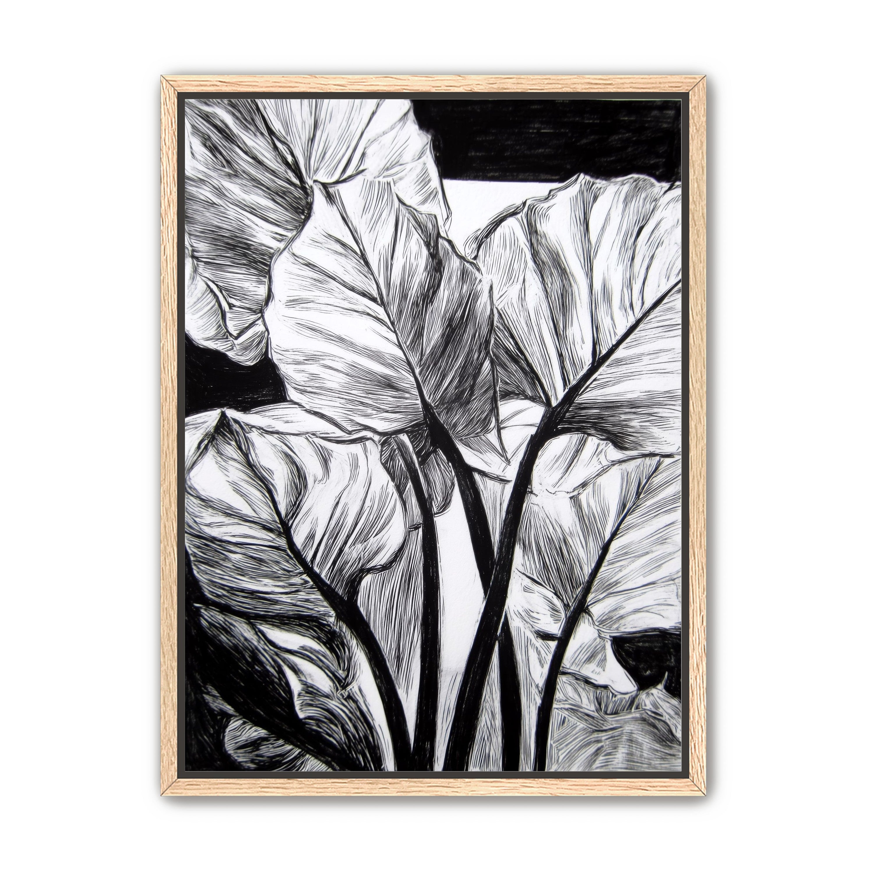 Overlapping Leaves on Dark Ground