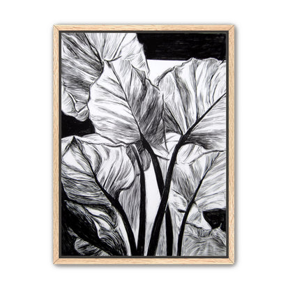Overlapping Leaves on Dark Ground