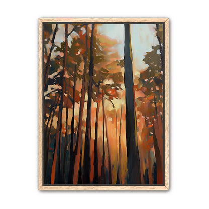 Forest Awakening
