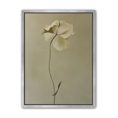 One flower leaning into quiet