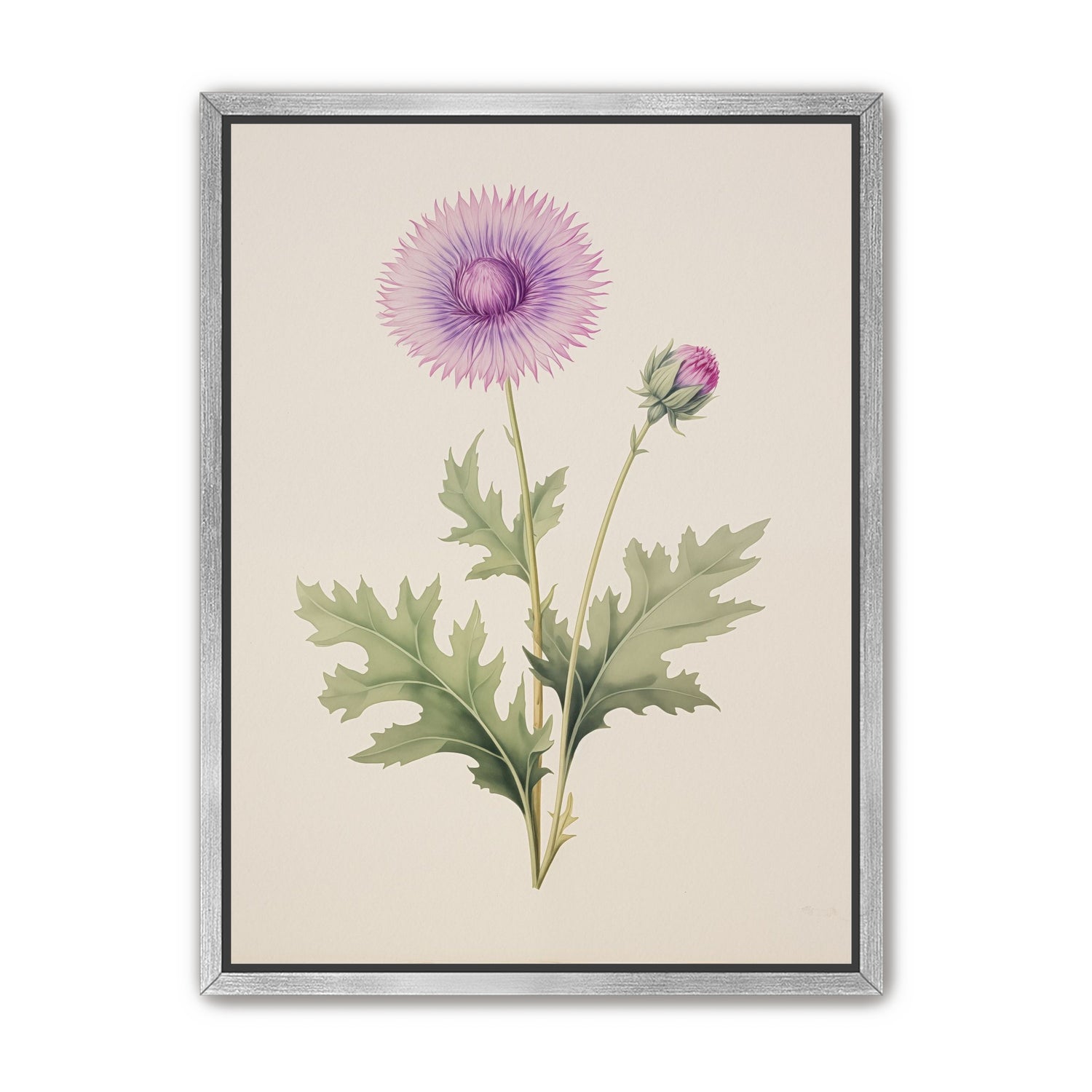 Lavender Radiance