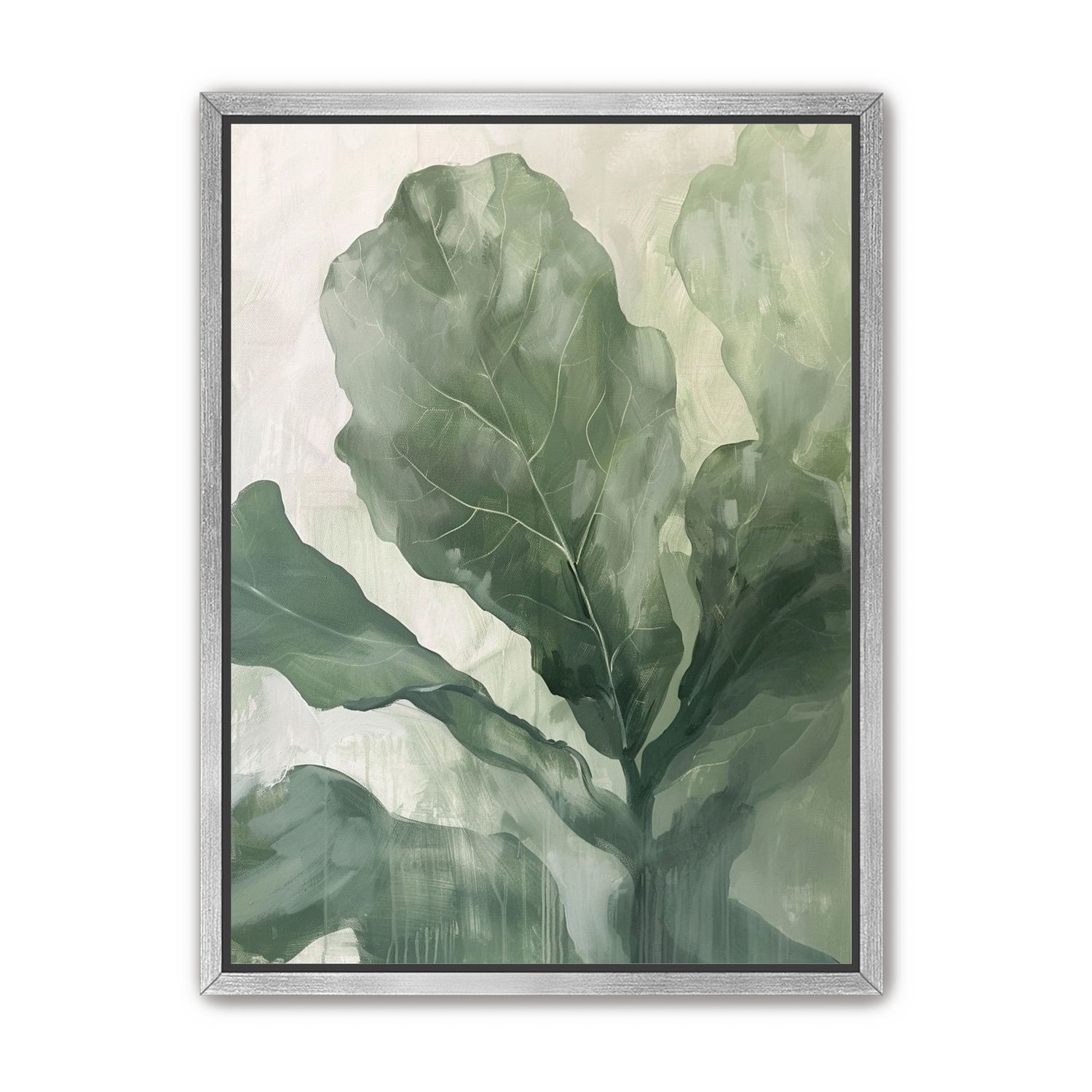 Sage leaves in pale light