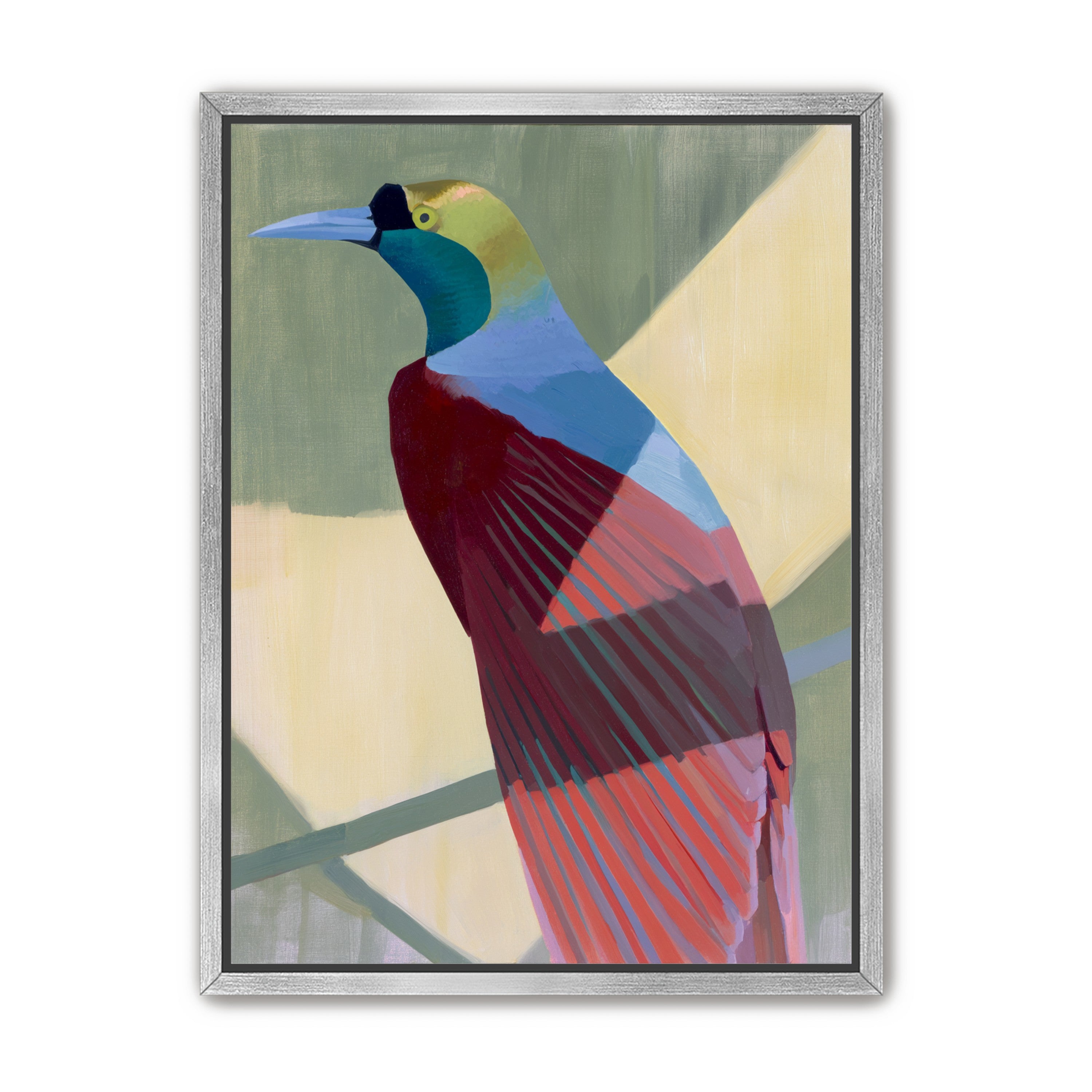 Teal throat on maroon wing