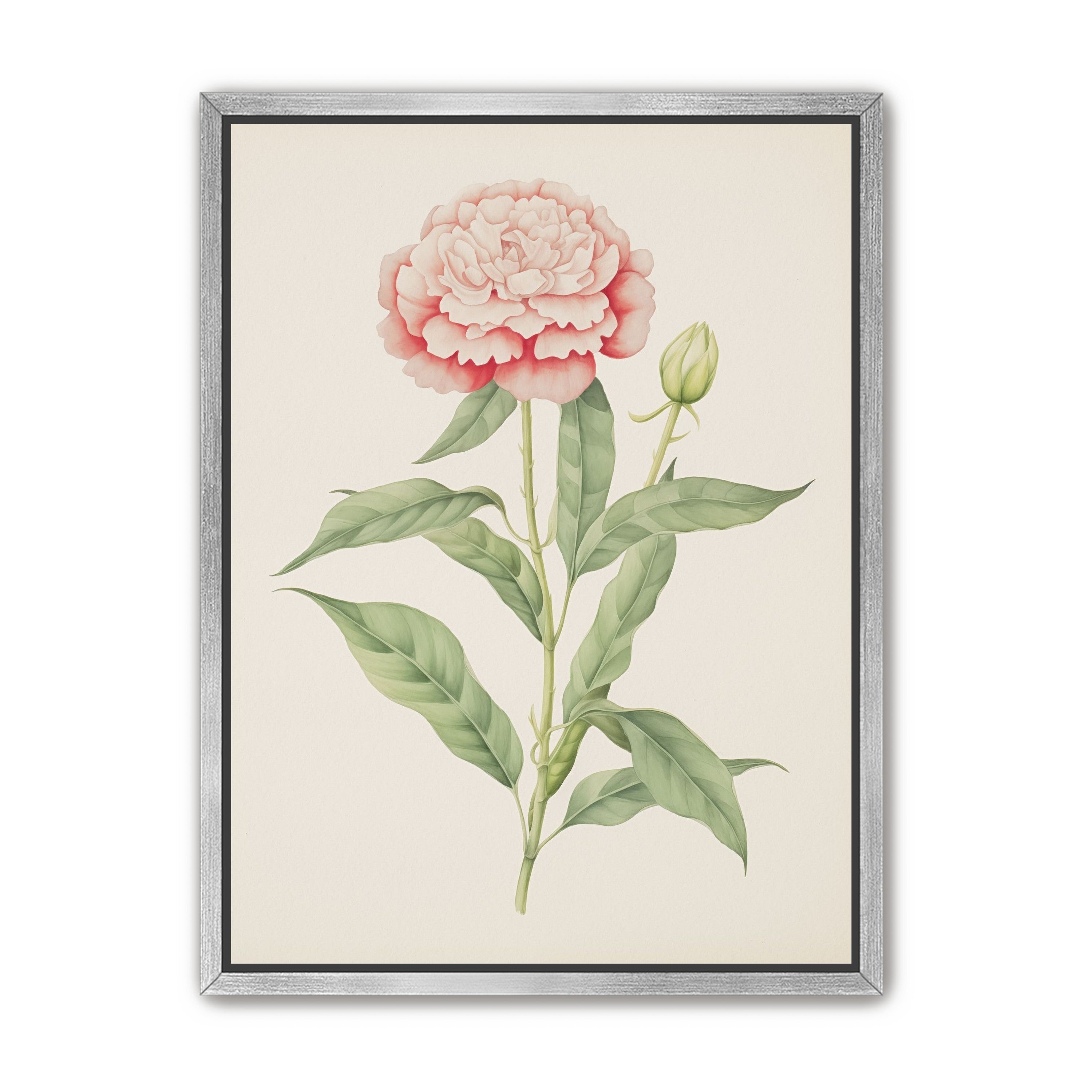 Delicate Blush