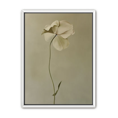 One flower leaning into quiet