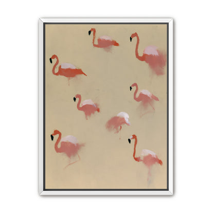 Flamingos in quiet drift