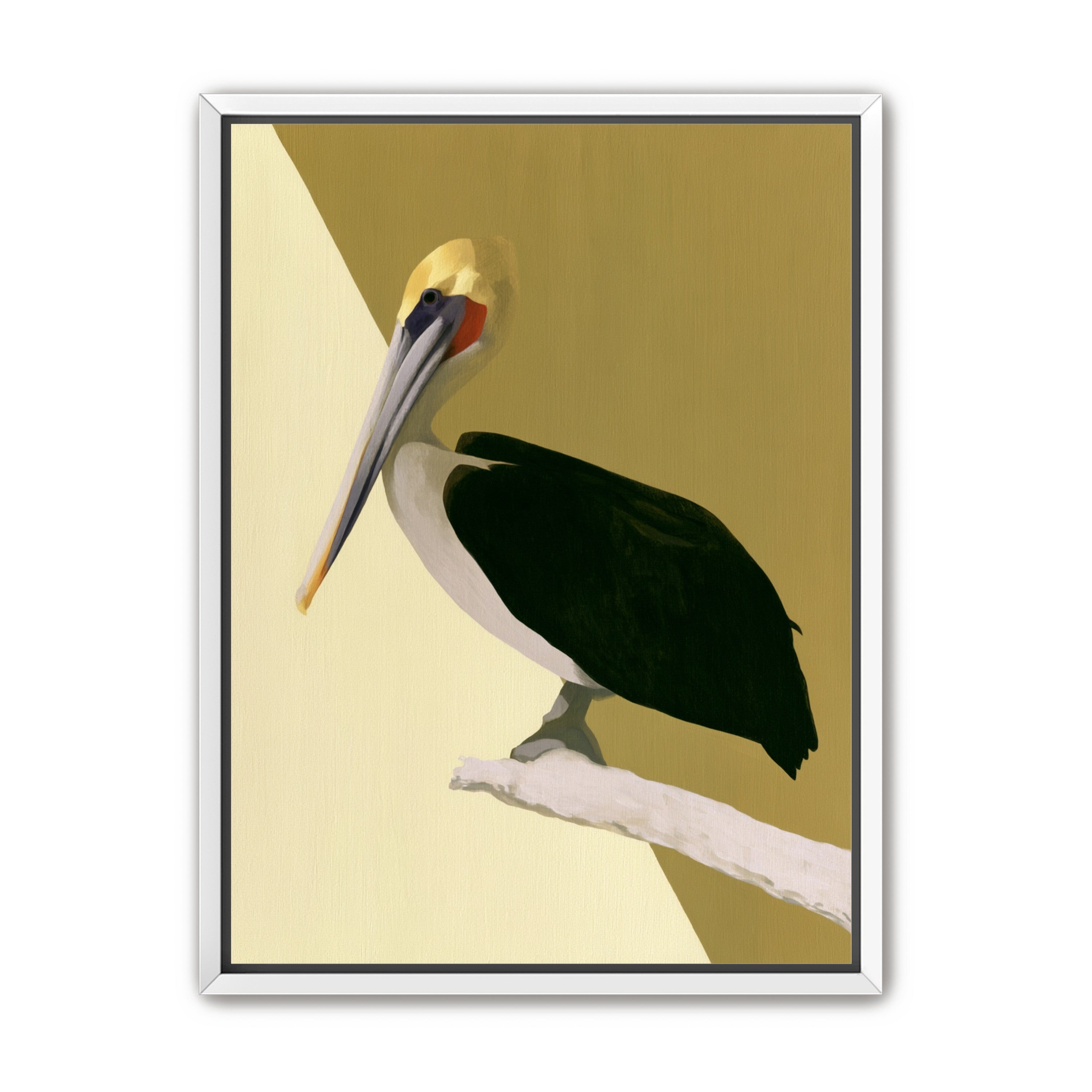 Pelican in quiet balance