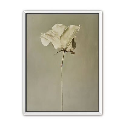One flower and its hush