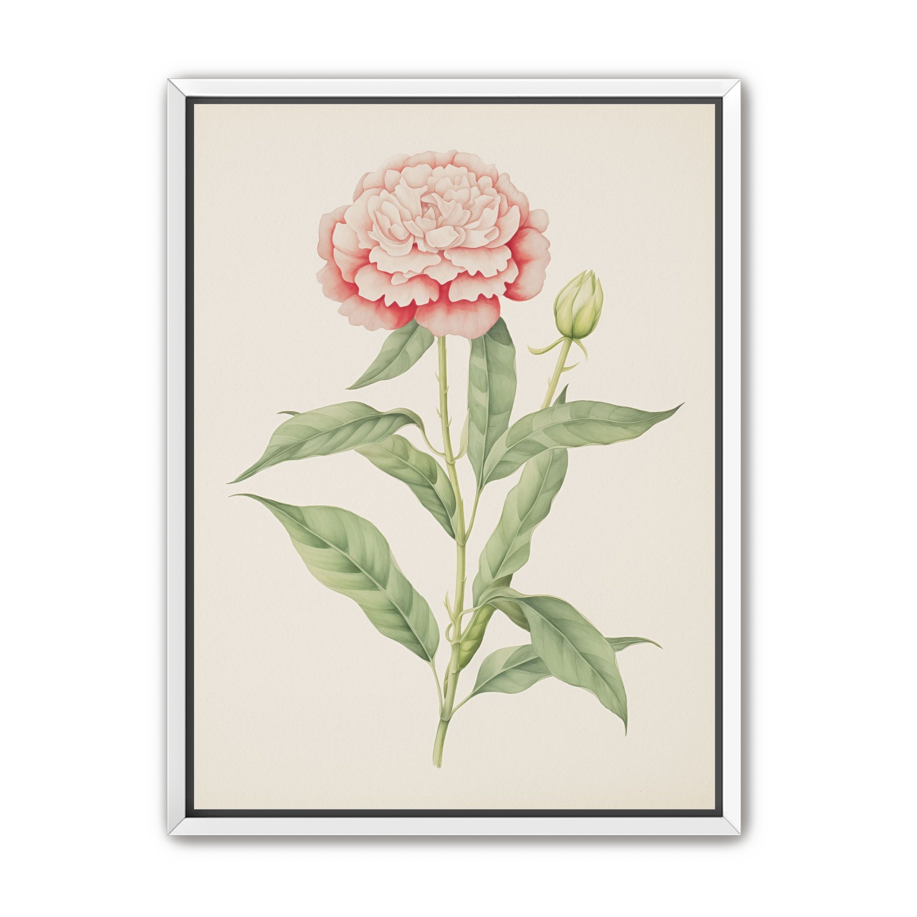 Delicate Blush