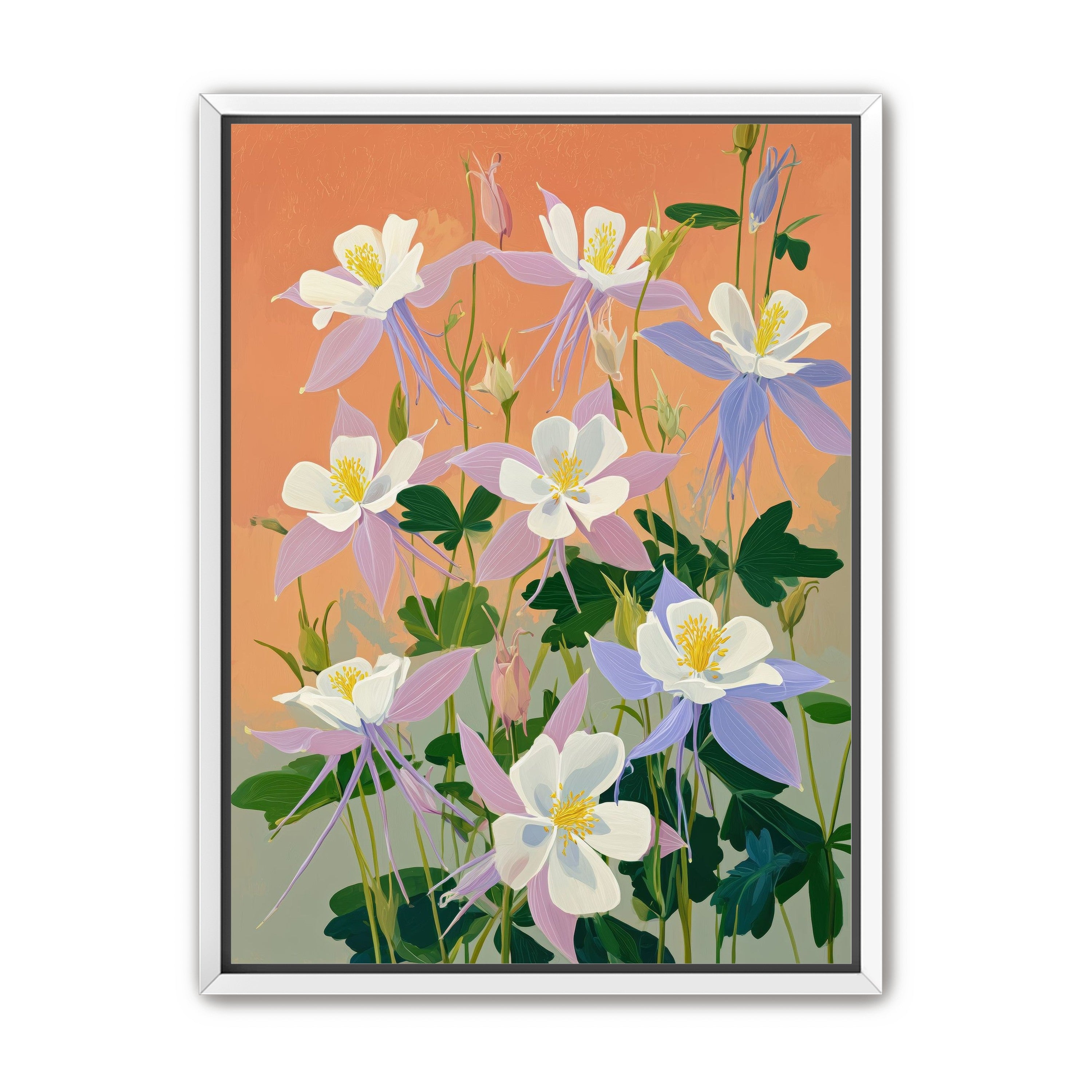 Columbines in Bloom