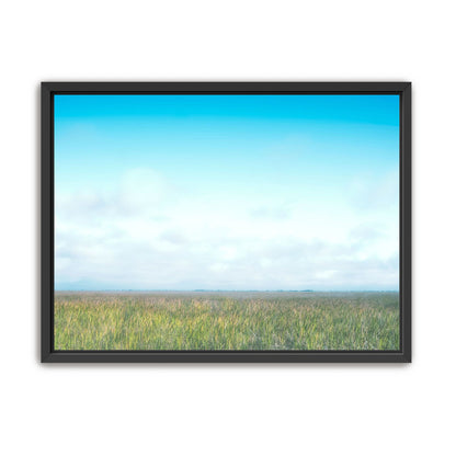 Grasslands