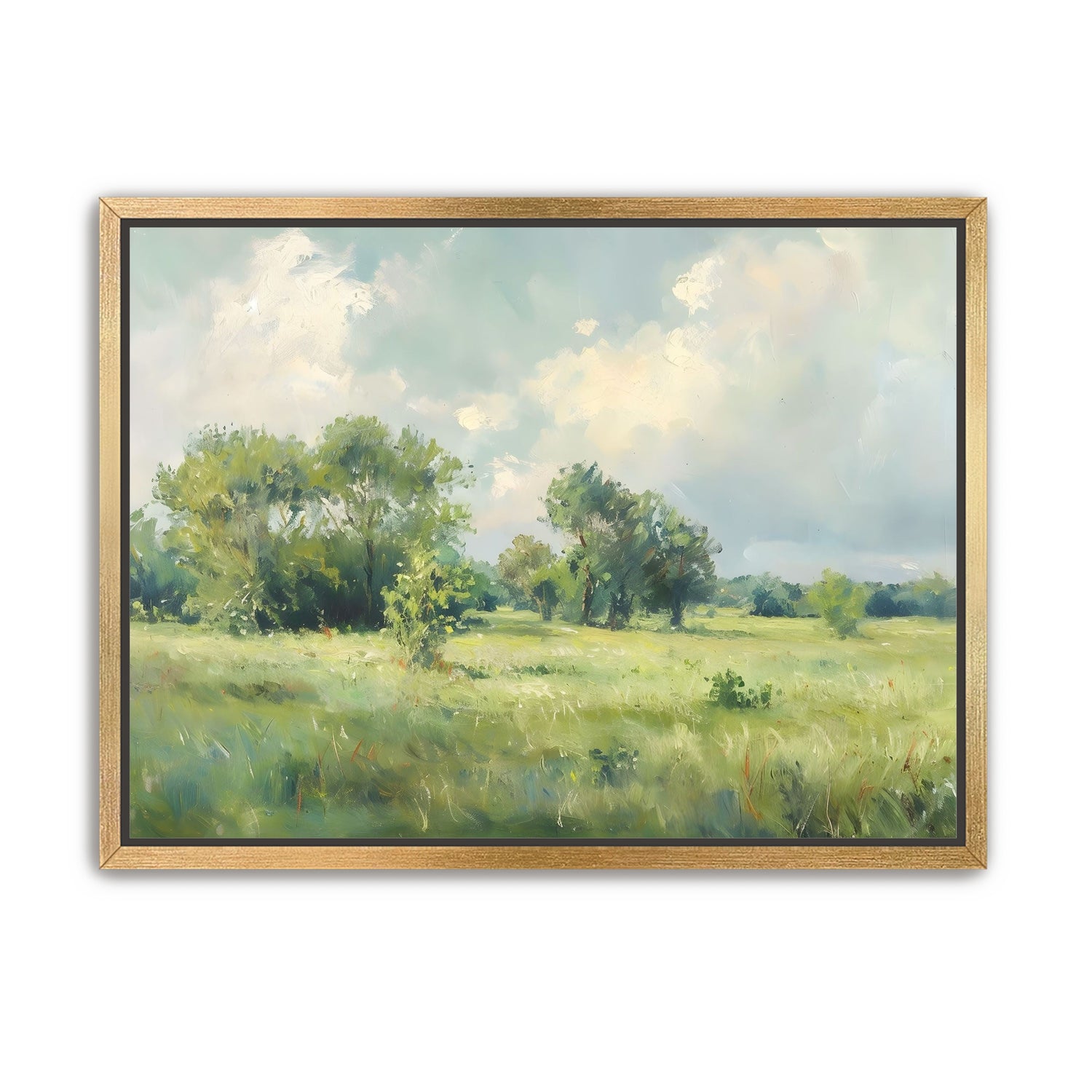 The Gentle Field